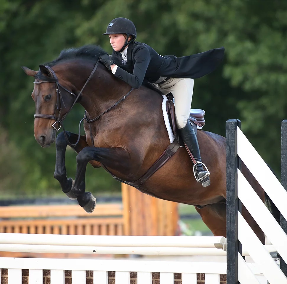 Horse1 Horse1