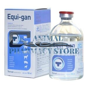 Buy Equi-gan Online